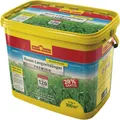 Wolf-Garten Wolf Garten Rasen Lanzeitdünger 6kg LE 300 Premium