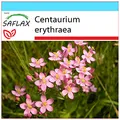 SAFLAX - Geschenk Set - Heilpflanzen - Tausendgüldenkraut - 250 Samen - Mit Geschenk- / Versandbox, Versandaufkleber, Geschenkkarte und Anzuchtsubstrat - Centaurium erythraea