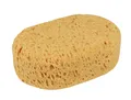 APA Schwamm Natura 180X120X65mm