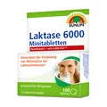 SUNLIFE® Laktase 6000 FCC Minitabletten 100 Stk Laktose-Intoleranz Laktoseabbau