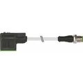 Murrelektronik M12-Stecker gerade 7000-40881-2360060