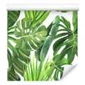 10m VLIES Tapeten Rollen Monstera Blumen Pflanzen Blätter Natur XXL 2453