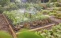 Gardena Micro-Drip-System Tropfbewässerung Set wassersparendes System 13450-20