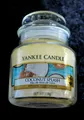 Yankee Candle  COCONUT SPLASH,  104g