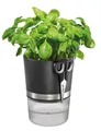 GEFU BOTANICO KRÄutertopf-Set mit Selbstbewässerung & KRÄuterschere - Blumentopf mit 500ml Wasserreservoir, Standanzeige & Nylondocht - Automatisches Bewässerungssystem, 18,5cm