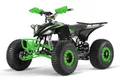 NITRO MOTORS 1000W 48V Eco midi Kinder Quad Replay Sport 8', Farbe:Grün