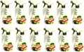 12x Dr. Stähler 500 ml Marderfrei Spray gegen Marder Fernhaltespray Abwehr