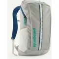 Patagonia Black Hole 25L Rucksack (Größe 25L, grau)