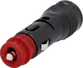 Cartrend Universal-Stecker mit Sicherung 12/24V  Stecker