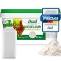 Hühner Land Kieselgur,  reine Kieselgur für Hühner 1 kg