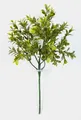 artplants Deko Buchszweig Tom, 6 Zweige auf Steckstab, 45cm