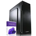 schneller WIN 11 PRO Business PC i12Gen 4,3GHz 16GB RAM 240GB SSD 1TBHDD OFFICE*