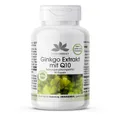 Warnke Vitalstoffe | Ginkgo-Extrakt mit Q10