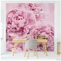 Bilderdepot24 Fototapete Rosen Rosa Pfingstrosen Blumen Natur Pflanzen Wanddeko, Glatt, Matt, (Vliestapete inkl. Kleister oder selbstklebend), Wohnzimmer Schlafzimmer Küche Flur Motivtapete Vliestapete Wandtapete rosa 2.4 m x 2.4 m