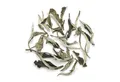 tea exclusive Tee White Moonlight, Weißer Tee, BIO, China, 50g, Besonderes Geschmacksbouquet - frisch und lieblich mit leichter Note v