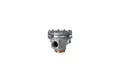 RIEGLER Druckregler Riegler Druckregler pneumatisch ferngesteuert »Standard «, G 1