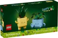 LEGO Icons 10349 Fröhliche Pflanzen