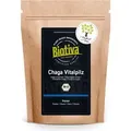 Biotiva Chaga Pilz Pulver 125g aus biologischem Anbau