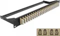 Delock - Patch Panel - Rack montierbar - LC Quad MM x 24 - Schwarz, beige - 1U - 48.3 cm (19")