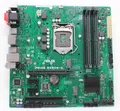 ASUS Prime B250M-C Intel B250 microATX Mainboard Sockel LGA 1151 (#22529)