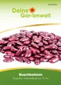 Kidneybohne Augusta Samen - Phaseolus vulgaris  - Buschbohnensamen