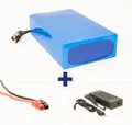 Akku 36V 25Ah 900Wh Lithium-Ion Akkupack Scooter E-Bike Pedelec Battery 25A BMS