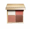 Clarins Lidschatten ALL IN ONE Lidschatten-Palette in limitierter Auflage 12 gr
