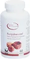 Konjakwurzelextrakt Glucomannan Kapseln 49 g