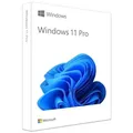 Microsoft Windows 11 Pro DE ESD engl.