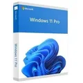Microsoft Windows 11 Professional Downloadversion