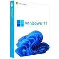 Microsoft Windows 11 Professional