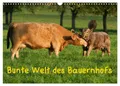 Angela Münzel-Hashish - Www. Tierphotografie. Com | Bunte Welt des Bauernhofs...