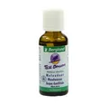 Bergland-Pharma GmbH & Co. KG Mundwasser TEEBAUM MUNDWASSER, 30 ml