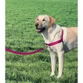 Petsafe Easy Walk Hundegeschirr Rosa L Rosa L