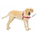 PetSafe Easy Walk-Geschirr, Anti-Zieh-Hundegeschirr, Verringert Würgen und Husten, Mit 1,8 M Leine, Größe L, Rosa