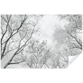 Wallarena Fototapete Wald Baumkronen 3D EFFEKT Natur Decke Wohnzimmer Schlafzimmer, Glatt, Wald, Vliestapete Grau 3D Wohnzimmer Schlafzimmer Küche Tapete + Kleister grau 4.16 m x 2.54 m