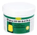Baumwachs Brunonia 500g Dose