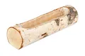 NaDeco Birkenstamm Pflanzenschale ca. 18cm | Birkenstamm zum Bepflanzen | Pflanzschale aus Birkenstammholz | Pflanztopf Birke | Holzstamm zum Bepflanzen | Pflanztopf Natur