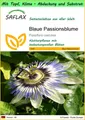 SAFLAX Blumensamen SAFLAX - Garden to go - Blaue Passionsblume