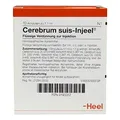 Cerebrum Suis Injeel Ampullen 10 stk