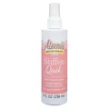 Aleene's Stiffen-quick Stoff-Versteifungs-Spray (113 ml)