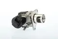 AGR-Ventil AGR elektrisch 710327D BorgWarner (Wahler) für BMW OPEL DODGE
