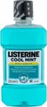  Cool Mint Mild Taste Mundspülung ohne Alkohol Geschmack Cool Mint 250 ml