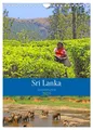 Sri Lanka - Terminplaner (Wandkalender 2025 DIN A4 hoch), CALVENDO Monatskalende