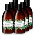 alkmene Anti Fett Haar Shampoo mit Bio Brennnessel - veganes Haarshampoo für fettige Haare - Haarpflege 6x 250 ml