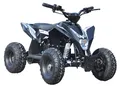 Kinder Quad Elektro ATV 36V 1000W Miniquad Pocketbike Elektroauto + Ladegerät