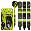 WINMAU Michael Van Gerwen MvG Ambition 20g Profi Brass Softip Dartpfeile Set mit Flights und Schäfte