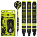 Michael Van Gerwen MvG Ambition 20g Profi Brass Softip Dartpfeile Set mit Fli...