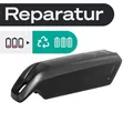 E-Bike Akku Reparatur Bosch Powerpack 400 Rahmen Active Performance