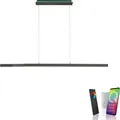 Neuhaus Q SMART HOME LIGHTS LED Pendelleuchte Q-ARIAN, Smart Home, LED fest integriert, warmweiß - kaltweiß